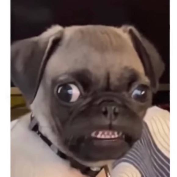 enemario69